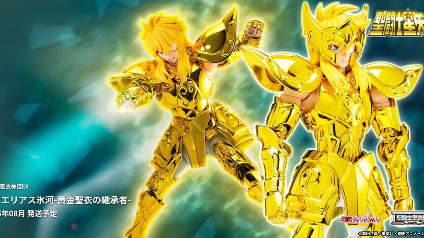 Aquarius Hyoga ~Inheritor Of The Gold Cloth~